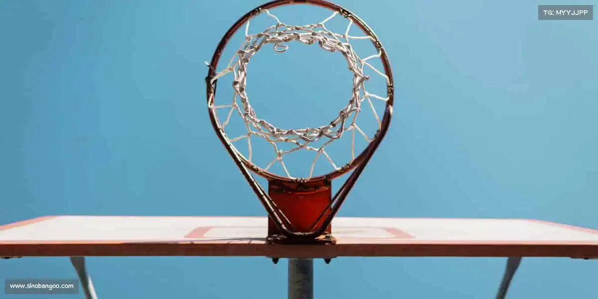 为什么选择我们